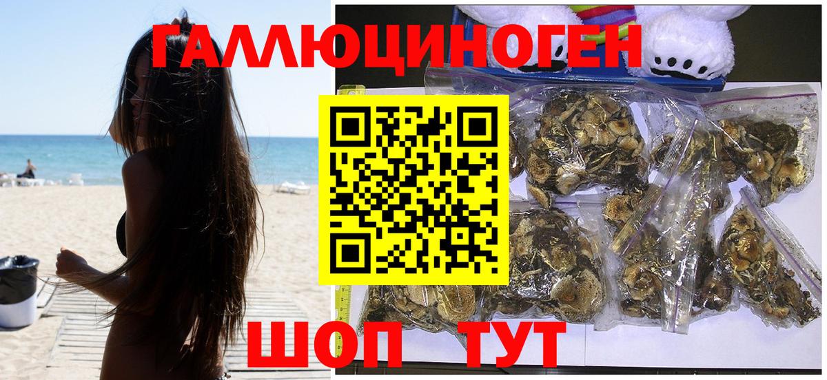 Псилоцибиновые грибы ЛСД Сочи