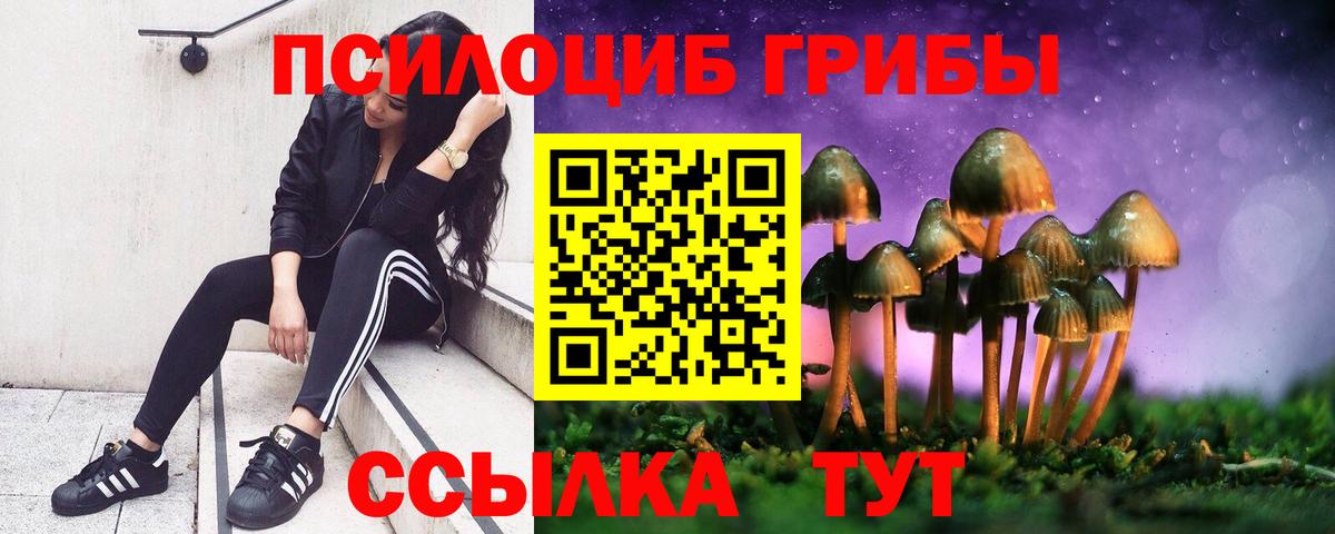 Сочи  Псилоцибиновые грибы ЛСД  Вход с VPN 